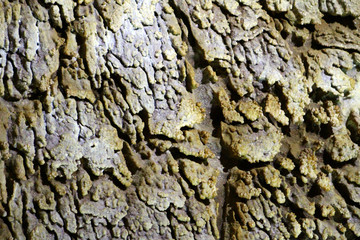 Natural texture image of nice natural cave with sandy walls and formations of stalactites and stalagmites inside - Marble Cave, Crimea