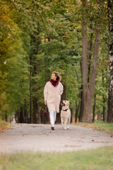 Fototapeta premium A woman walks with her labrador in the fall.