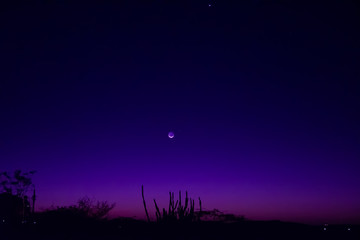 new moon in purple and pink sky