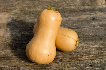 Butternuss-K&uuml;rbisse auf Holz