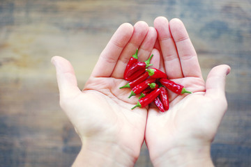 Chile pepper in the girl's hands, top view