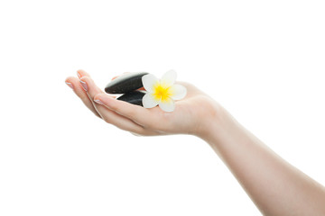 Spa hand with french manicure on the nails isolated on white. Female hand with tropical flower