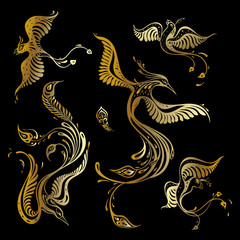 Fototapeta premium Beautiful peacock set. Exotic bird. Vector hand drawn detailed illustration