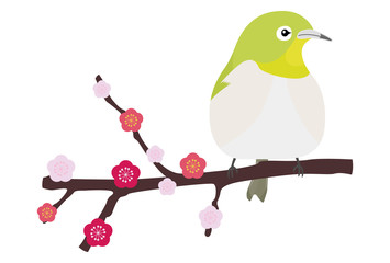 梅の枝に止まるメジロsingle