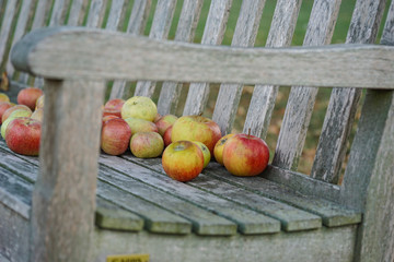 Apples on decorative garden bench. Beautiful Background.