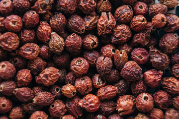 dry berries dogrose red