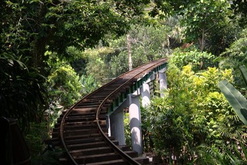 Railway bridge in the forest