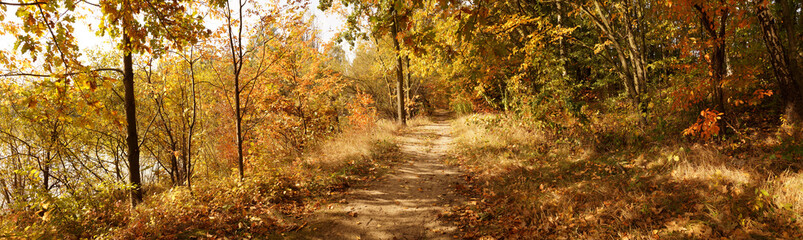 Obraz premium Autumnal panorama. The path running along the bank of the pond is covered with leaves.