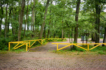 Fototapeta premium a trip to the beautiful Baltic sea