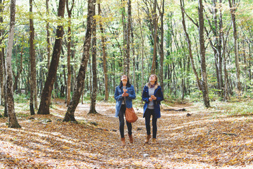 Two young girl friends walking in autumn forest. Girlfriends hiking in the fall.