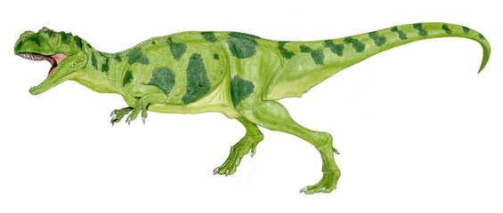 恐竜　メトリアカントサウルス　ジュラ紀後期のイギリスのオックスフォード粘土層からの化石により分類された中型の獣脚類。メトリアカントサウルス亜科に属する。この亜科にはシンラプトルやシャモティラヌスも属するが上位の科に属するヤンチュアノサウルスの近似種とも言われる。現代の爬虫類の皮膚の印象をベースにデッサンした2007年のオリジナルイラスト画像。