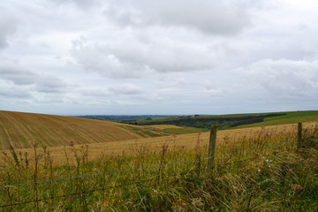 Farm landscape with wheat field, Sussex, UK