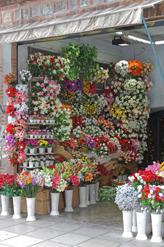 Plastic Flowers Florist