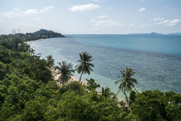 Fototapeta na wymiar Clean White Sand Beach with Palm Trees in Thailand, Koh Phangan