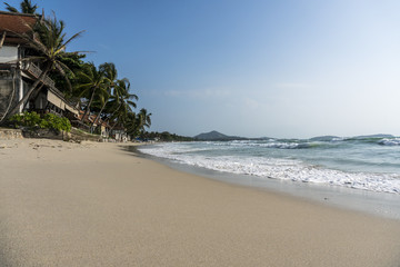 Clean White Sand Beach with Palm Trees in Thailand, Samui