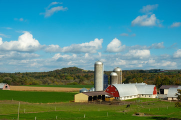 Fototapeta na wymiar Farm with barnyard, blue sky and white clouds