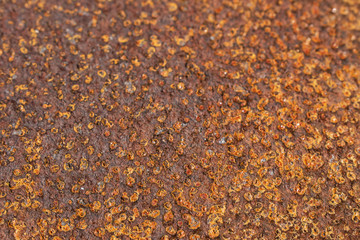 macro view on corrugated metal, orange mars abstract background