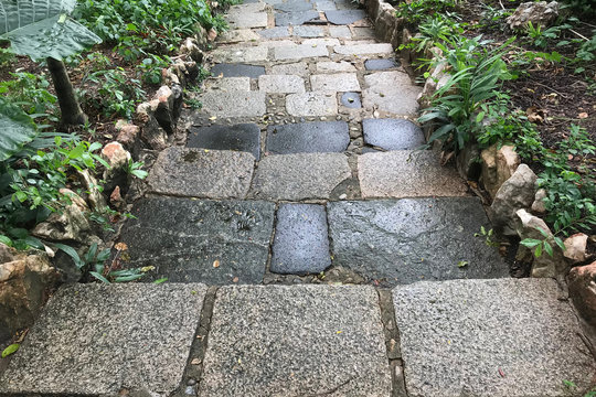 stone block pathway with green leaf in a park