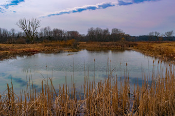 Clouds over pond