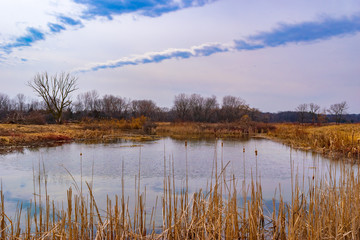 Clouds over wetland