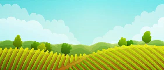 Gordijnen Landelijk landschap van wijngaard. Groene wijnstokken op heuvels met bomen en bergen op de achtergrond. Zomerseizoen. Vector illustratie. © Midorie