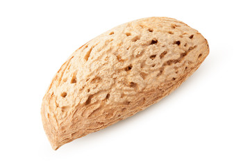 Almond nut in shell isolated on white background, clipping path, full depth of field