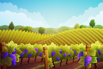 Rural landscape of vineyard. Vines with purple grapes stretching over the hills with trees and mountains in background. Autumn season. Vector illustration.