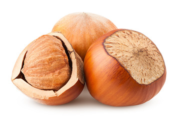 hazelnut isolated on white background, clipping path, full depth of field