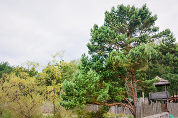 journey to the nature reserve of the Baltic sea