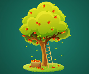 Colorful apple tree with red apples on grass circle isolated on green background. Wooden box of apples and ladder. Vector illustration.
