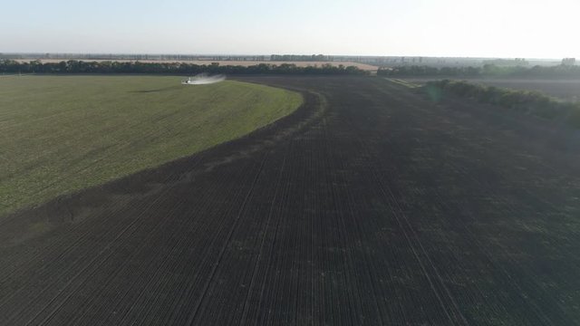agribusiness, plane flies over field with wheat and splashing pesticides against pests in aerial view of vintage propelled aircraft flies beautifully over green plantation