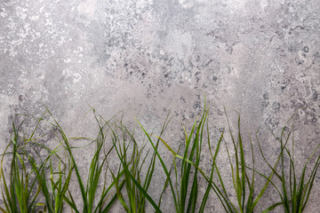 Obraz na płótnie Canvas Gray concrete copy space with green grass at the bottom