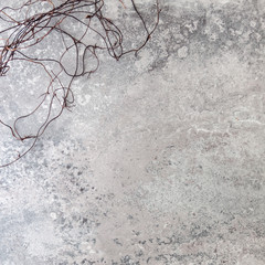 Dried rhizomes of vines against the background of a gray old concrete wall