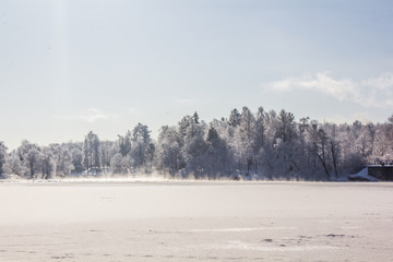 Fototapeta na wymiar Morning winter frosty landscape in the park. Winter landscape. Severe frost, snowy trees, sunny weather. Beautiful winter seasonal background.