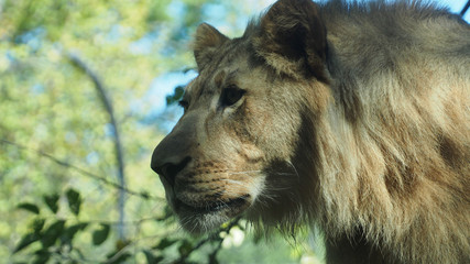 OLYMPUS DIGITAL CAMERA © Gerold Nowak