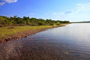 River bank