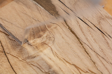 Wood and light, Eco-friendly woodworker's shop. Details and focus on the texture of the material,...