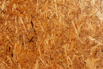 texture of wood