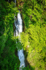Obrazy na Szkle  Wodospad Kegon, Nikko, Japonia