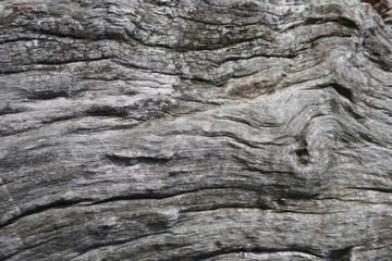 Wood, texture, gray, old, rustic, unedited. Close up, background