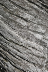 Wood, texture, gray, old, rustic, unedited. Close up, background
