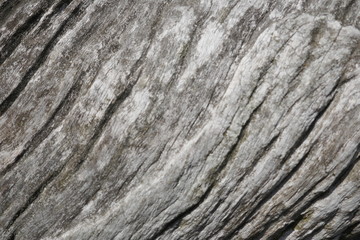Wood, texture, gray, old, rustic, unedited. Close up, background