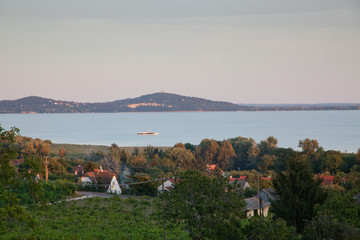 Fototapeta premium vineyards in Balaton highland, Badacsony mountain, Hungary