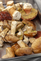 gereinigte Steinpilze in Aluminiumschale