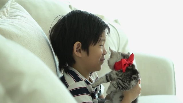 Asian child playing with kitten on sofa at home slow motion 