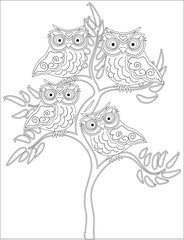 Coloring book for adult and older children. Coloring page with cute owl and floral frame. Outline drawing in zentangle style