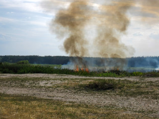     Burning grass in the meadow.     