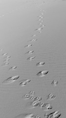drops on a surface