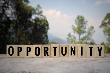 Motivational and inspirational word - &lsquo;OPPORTUNITY&rsquo; written on wooden blocks with blurred styled background.