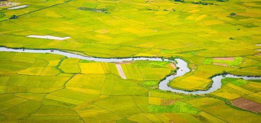 The beautiful yellow rice field with curved river in Vietnam 